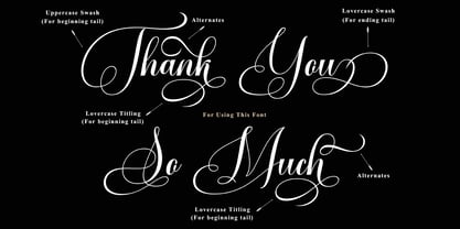 Vorgesla Script Font Poster 5