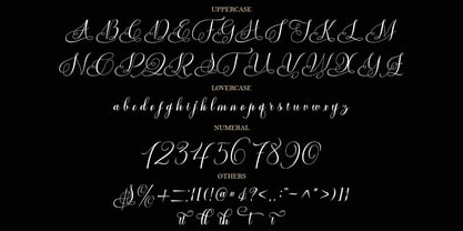 Vorgesla Script Font Poster 10