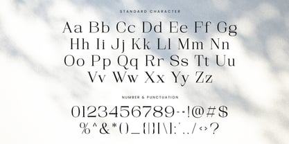 Arfide Mostera Serif Font Poster 10