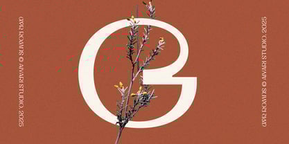 Ayr Romns Font Poster 12