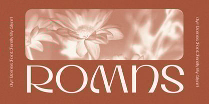 Ayr Romns Font Poster 1