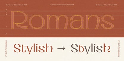 Ayr Romns Font Poster 3