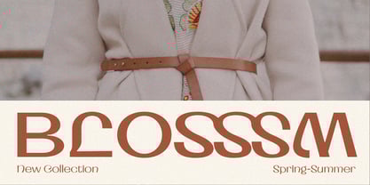 Ayr Romns Font Poster 6