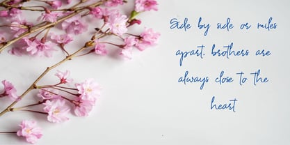 Tampered Font Poster 2