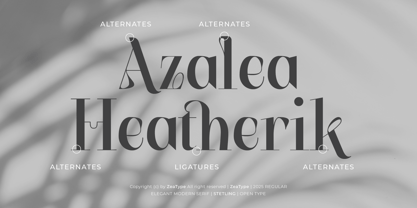 Stetling Font Poster 11