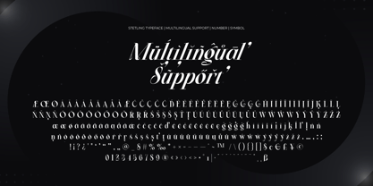 Stetling Font Poster 6