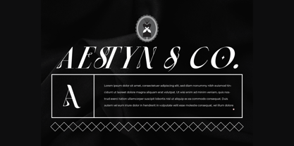 Stetling Font Poster 7