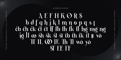 Stetling Font Poster 5