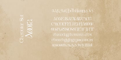 Aoora Font Poster 11