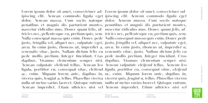 Modisto Font Poster 12