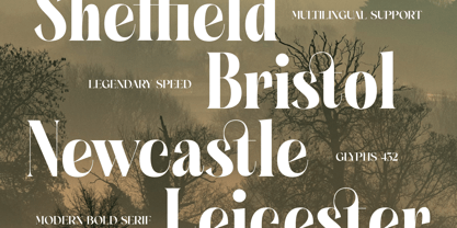 Glagiste Font Poster 6