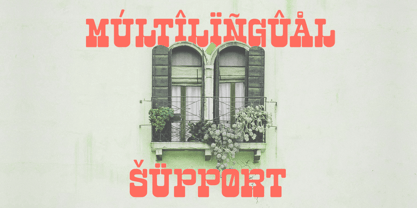 Tekila Font Poster 13