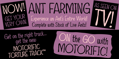 Possum Toes Font Poster 2