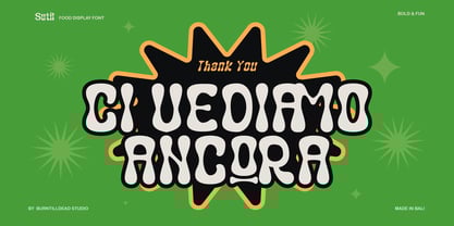 Sutil Font Poster 10