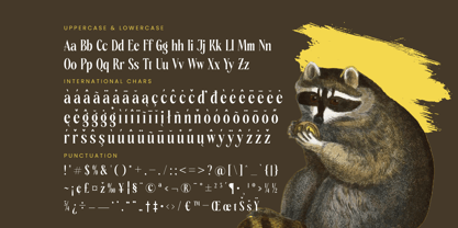 Rachon Font Poster 15