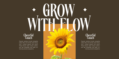 Rachon Font Poster 3