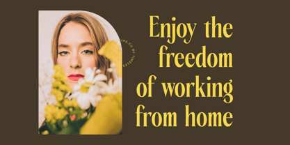 Rachon Font Poster 11