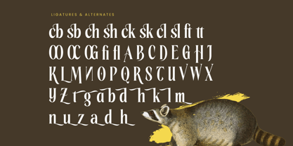 Rachon Font Poster 14