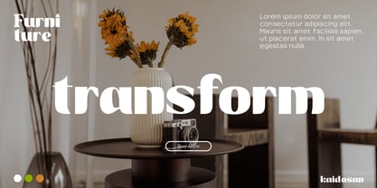 Avander Font Poster 9