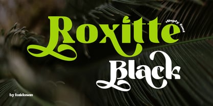 Avander Font Poster 5