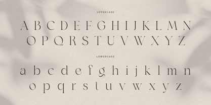 Agare Font Poster 11