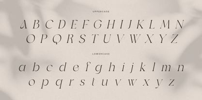 Agare Font Poster 12