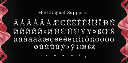 Nevalisa Font Poster 12