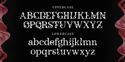 Nevalisa Font Poster 10