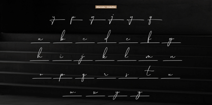 Hamburg Signature Font Poster 10