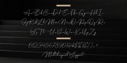 Hamburg Signature Font Poster 9