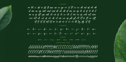 Junglend Font Poster 15