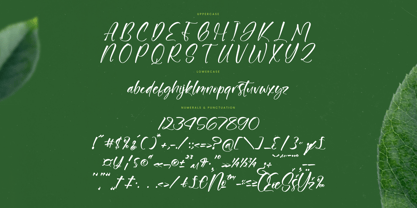 Junglend Font Poster 14