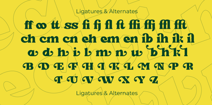 Mechin Font Poster 5