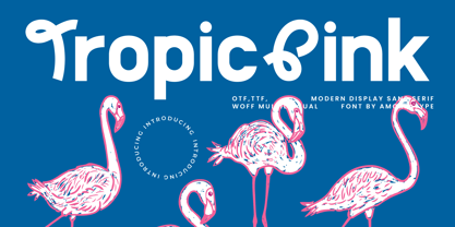 Tropic Pink Font Poster 1