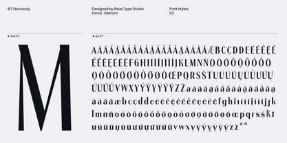 BT Nouvoty Font Poster 6