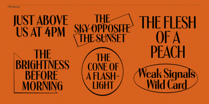 BT Nouvoty Font Poster 5