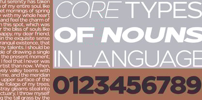 Nunito Flex Font Poster 13