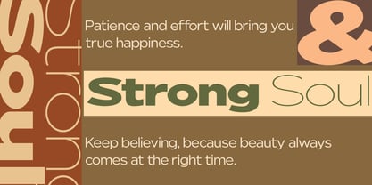 Nunito Flex Font Poster 11