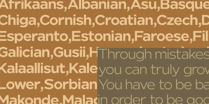 Nunito Flex Font Poster 4