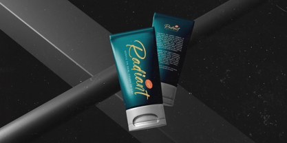 Gaslight Skyline Font Poster 4