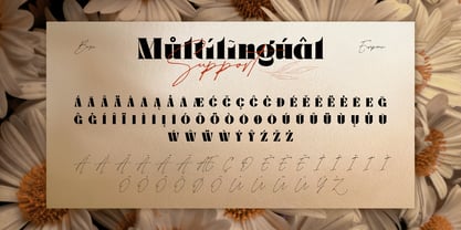 Bolmand Font Poster 10