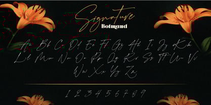 Bolmand Font Poster 6