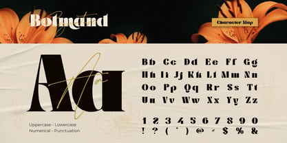 Bolmand Font Poster 2