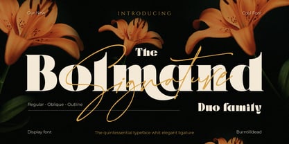 Bolmand Font Poster 1