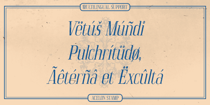 Acelon Stamp Font Poster 5