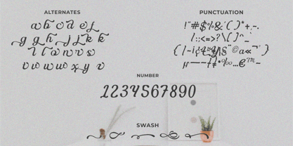 Delusoa Font Poster 12