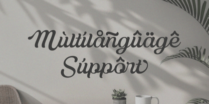 Delusoa Font Poster 10