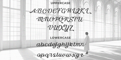 Delusoa Font Poster 11