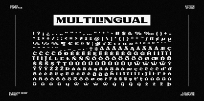 Kilned Font Poster 9