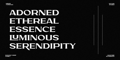 Kilned Font Poster 2